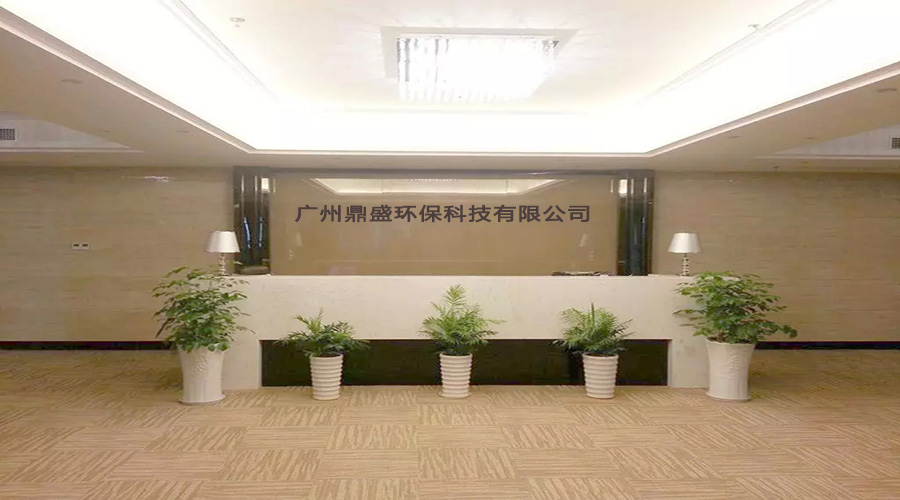 广州鼎盛环保有限公司:工程案例