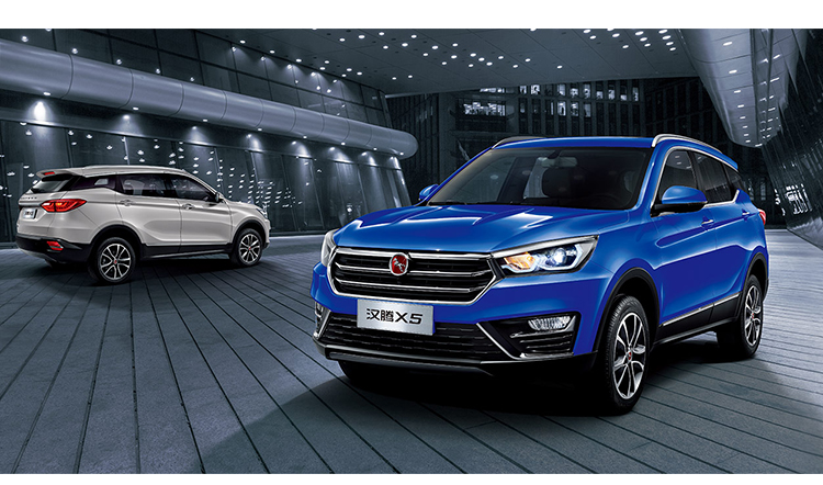 衡水盛杨安平永城直营店