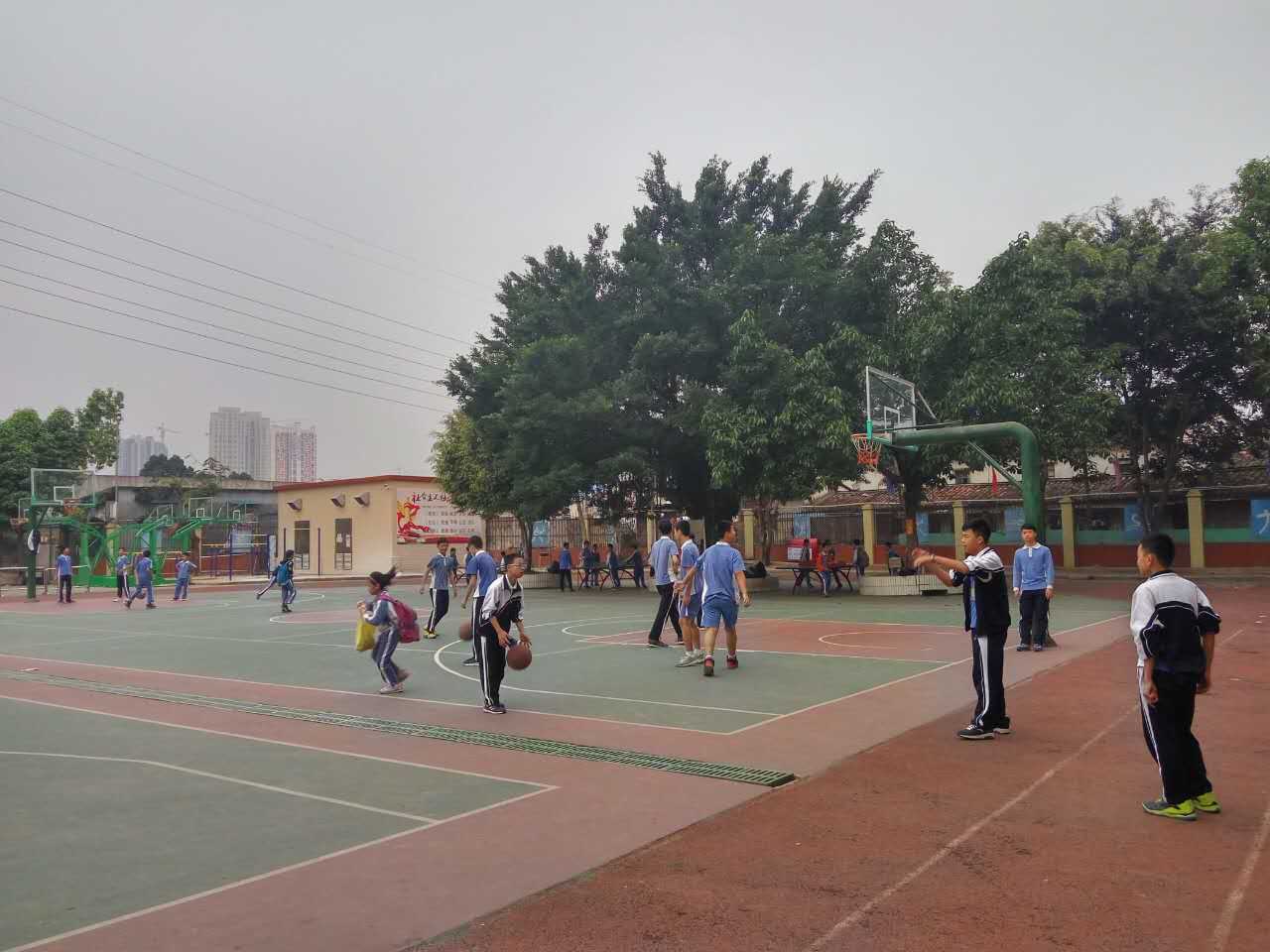 龙华新区新园学校