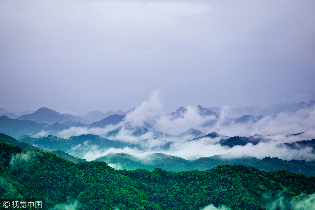 芳華廬山 我心依然