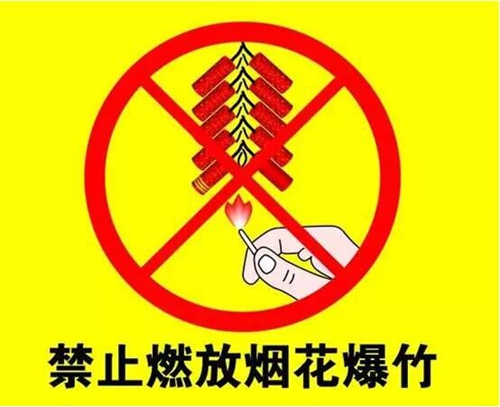 【文明过节，不放烟花爆】我是第{{count}}位接力者