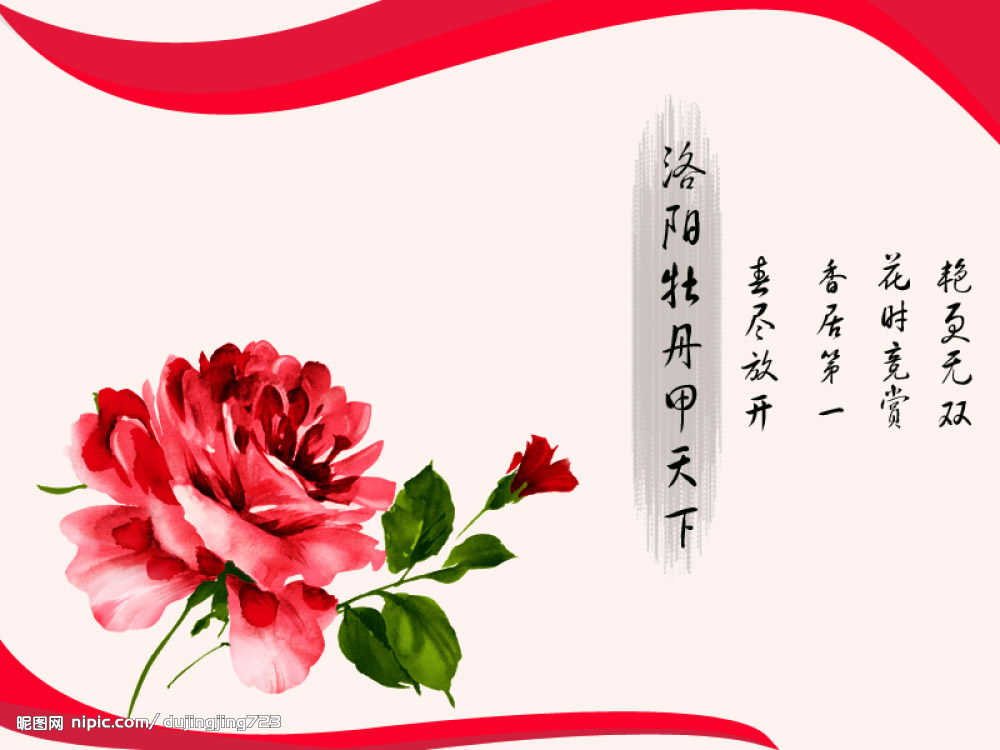 千人游洛阳牡丹