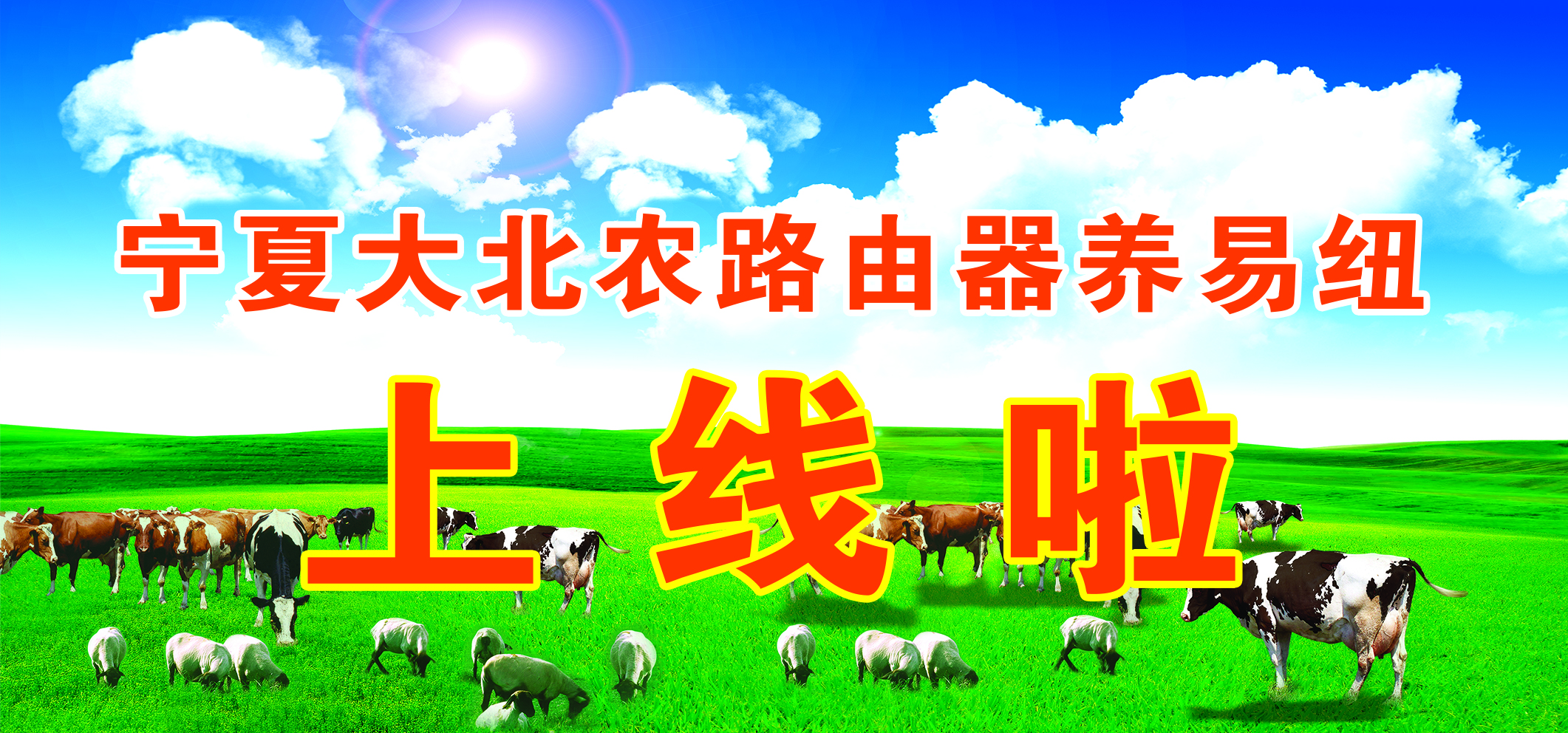 打造中国领先的养殖业产业路由器