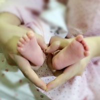 真诚邀请  共享喜悦