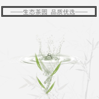 凤凰茶叶，凤求饮