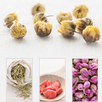 云骐团队性格色彩