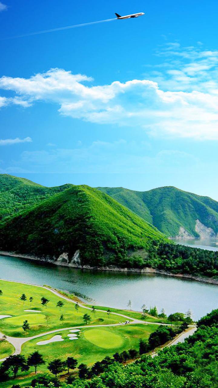 東北野生椴樹蜜