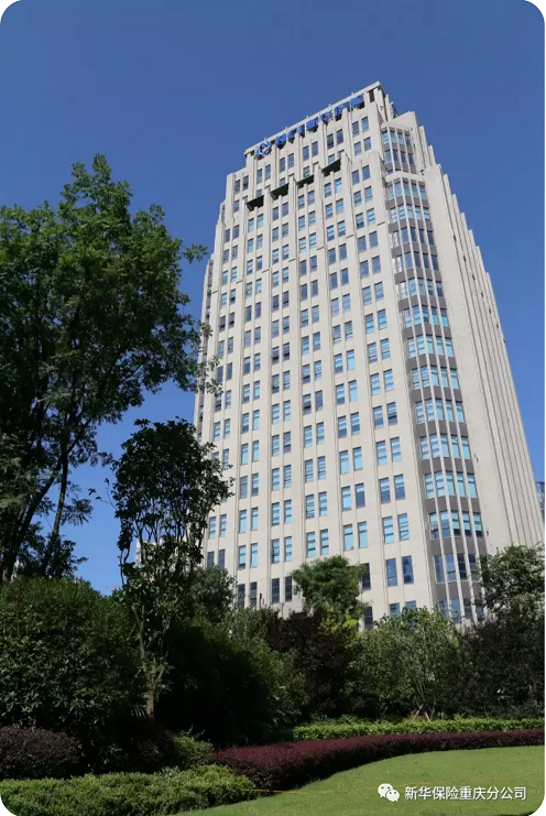 [副本]2016年新华保险重庆分公司理赔年报