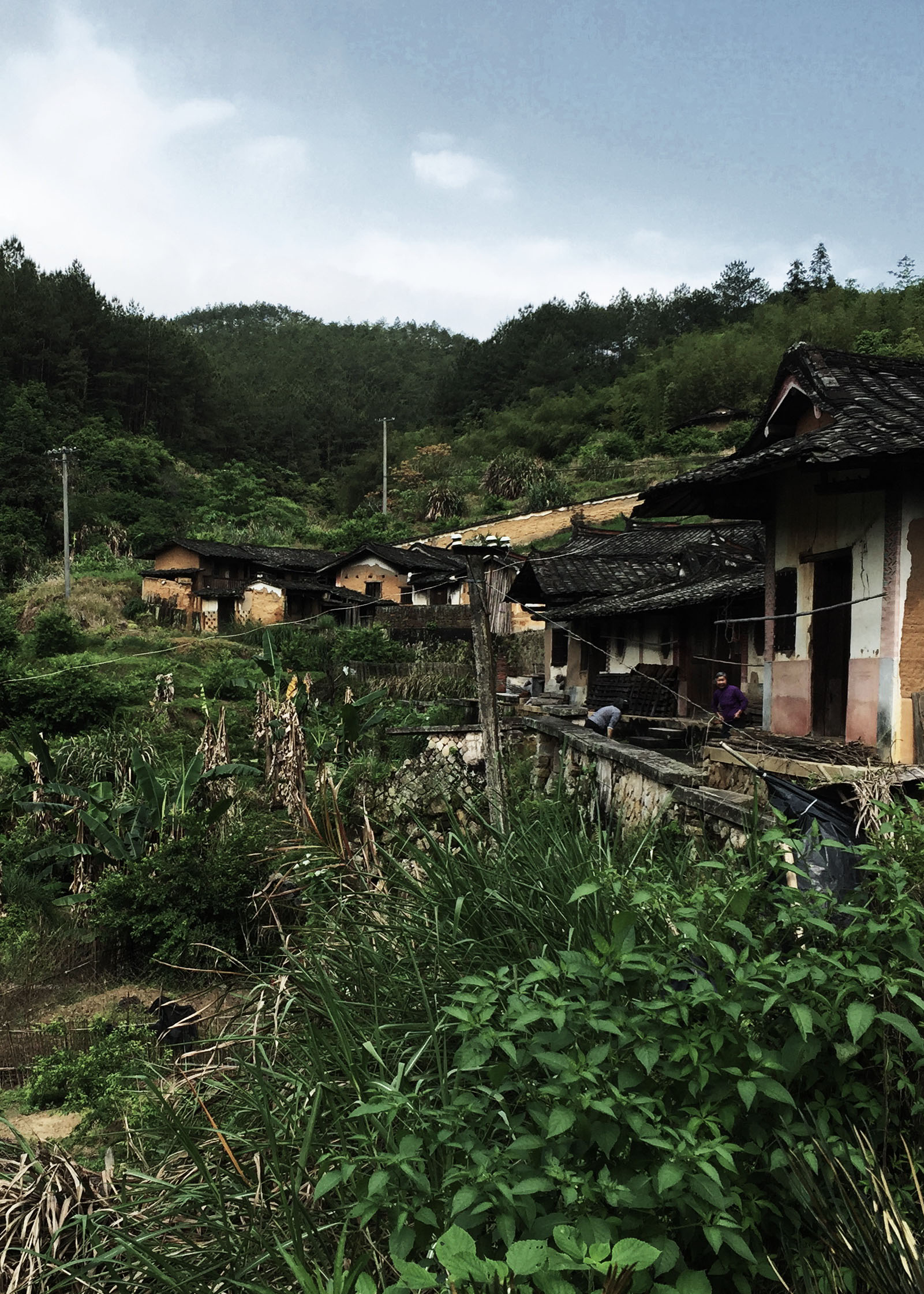 美哉东湖福建省美术家协会山水画艺委会漳平写生作品展邀请函