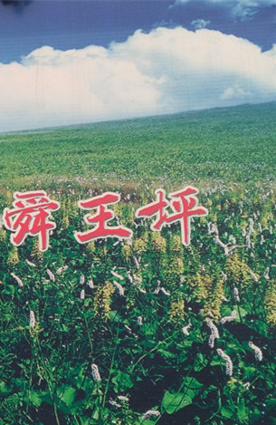 原始森林?jǐn)z影