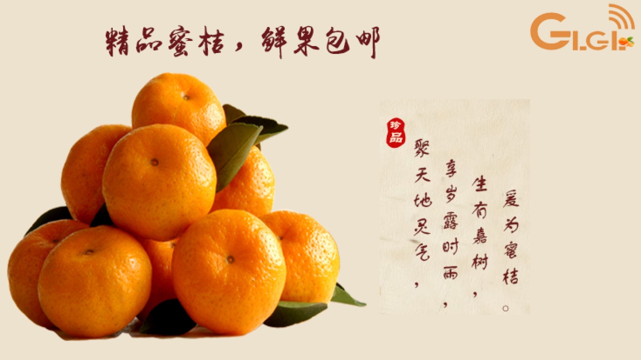 南丰蜜桔视频