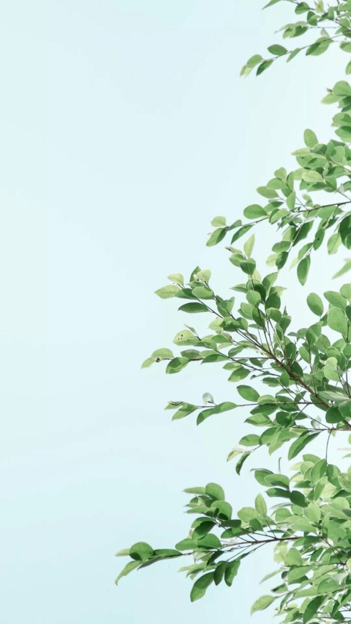 什么样的女人受人追捧?