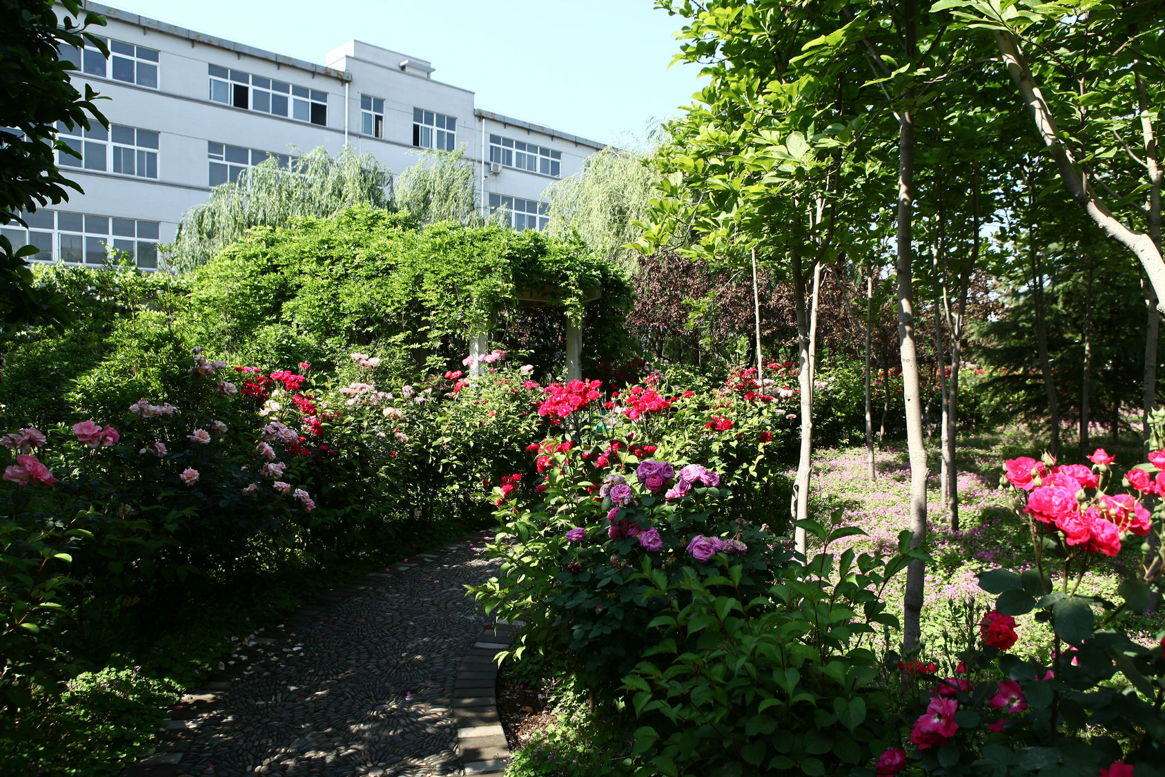 "e ·becky依贝奇"2017年夏季新品发布会邀请函