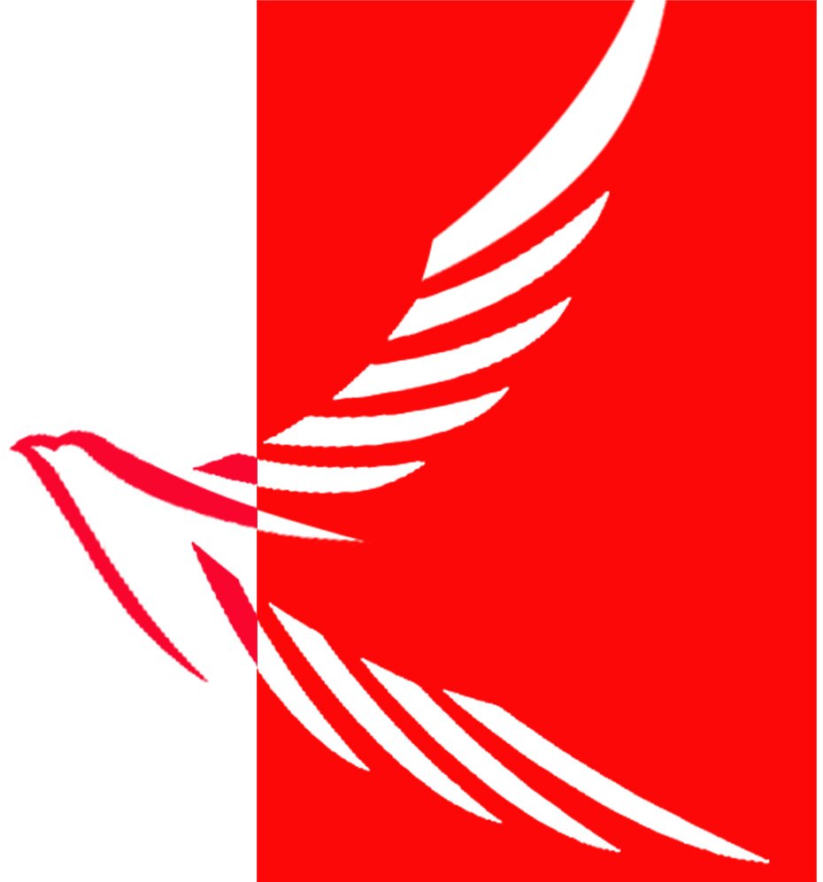 凯达®全屋定制，十年历练，重在陪伴！