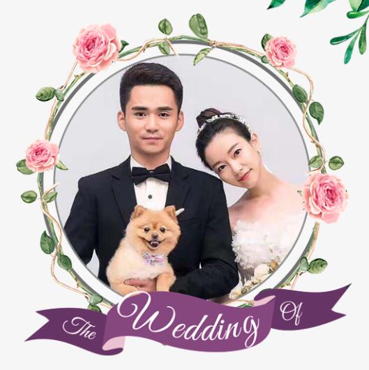 张逸&陈芸  2020年1月1日武汉光谷希尔顿大酒店婚礼{{微信昵称}}