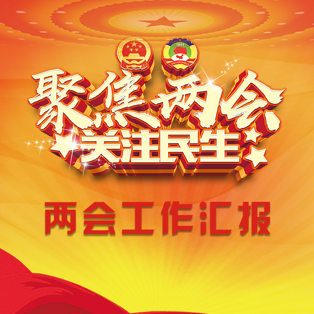 中國(guó)紅政府黨政機(jī)關(guān)單位事業(yè)單位兩會(huì)工作匯報(bào)模板